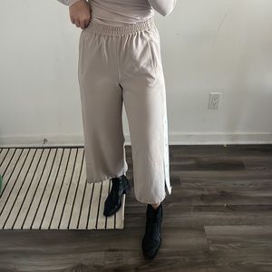Aritzia / 1-01 Babaton Snap Pants (until 06/22)